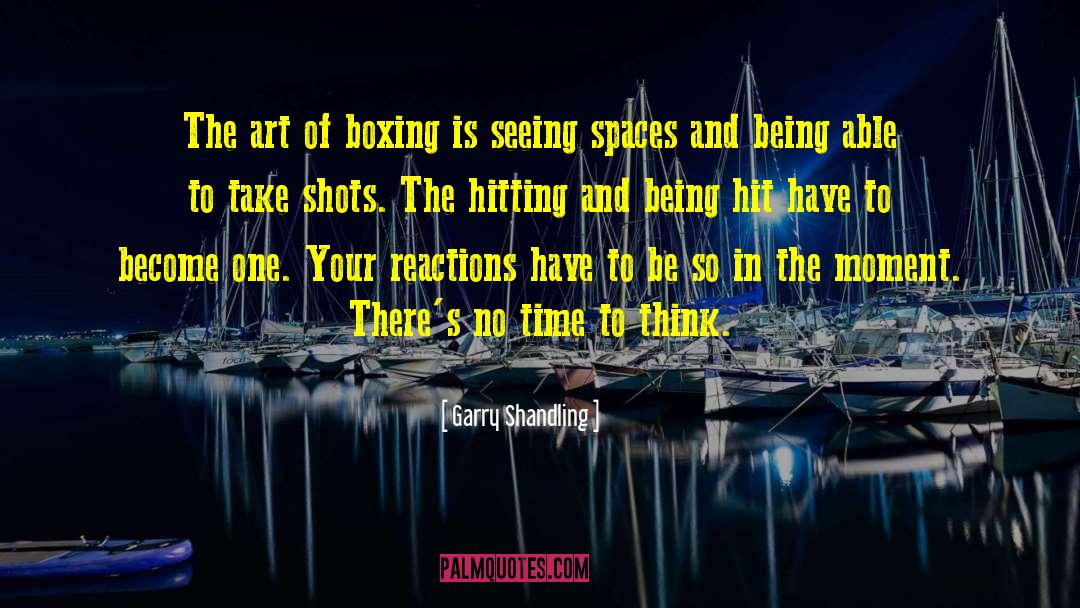 Sparring Boxing quotes by Garry Shandling
