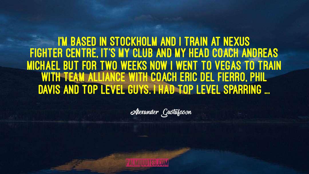 Sparring quotes by Alexander Gustafsson