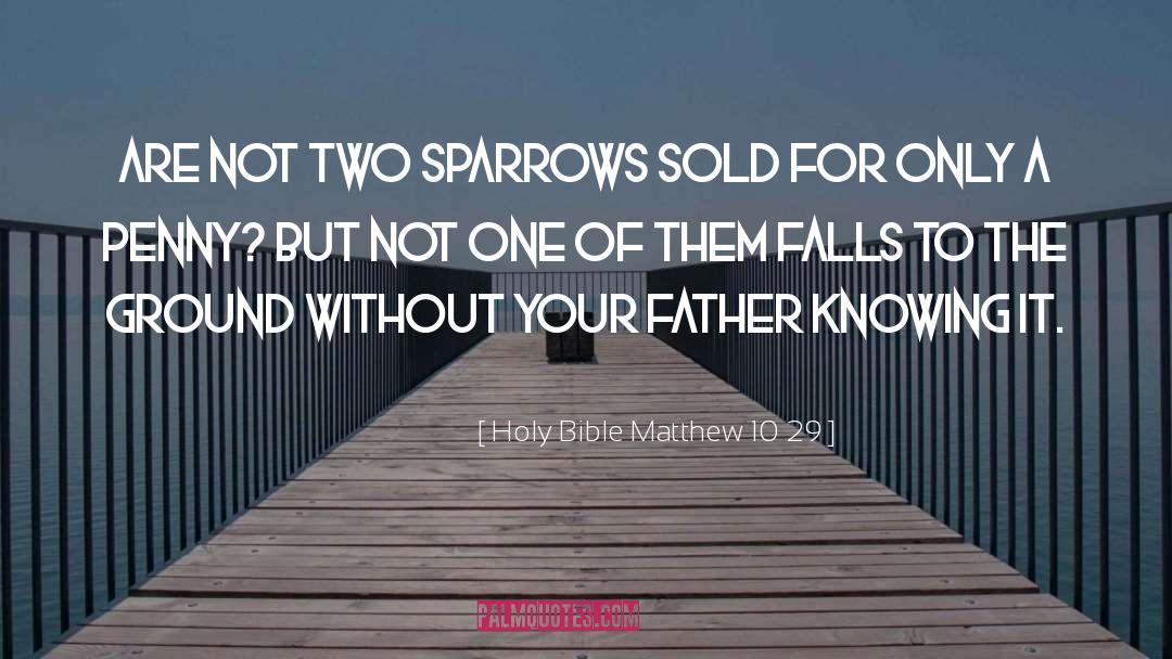 Sparrows quotes by Holy Bible Matthew 10 29