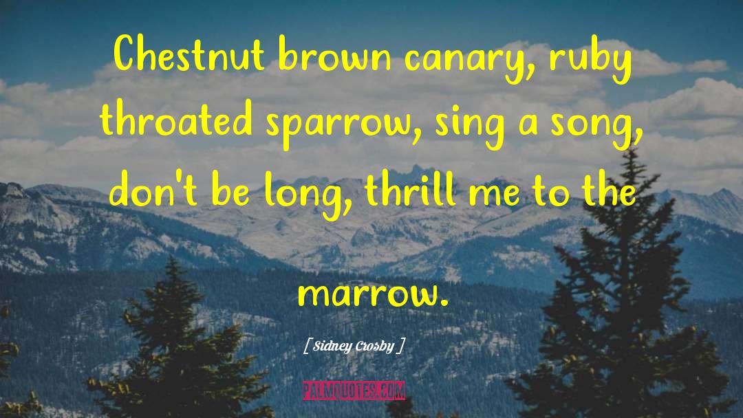 Sparrows quotes by Sidney Crosby