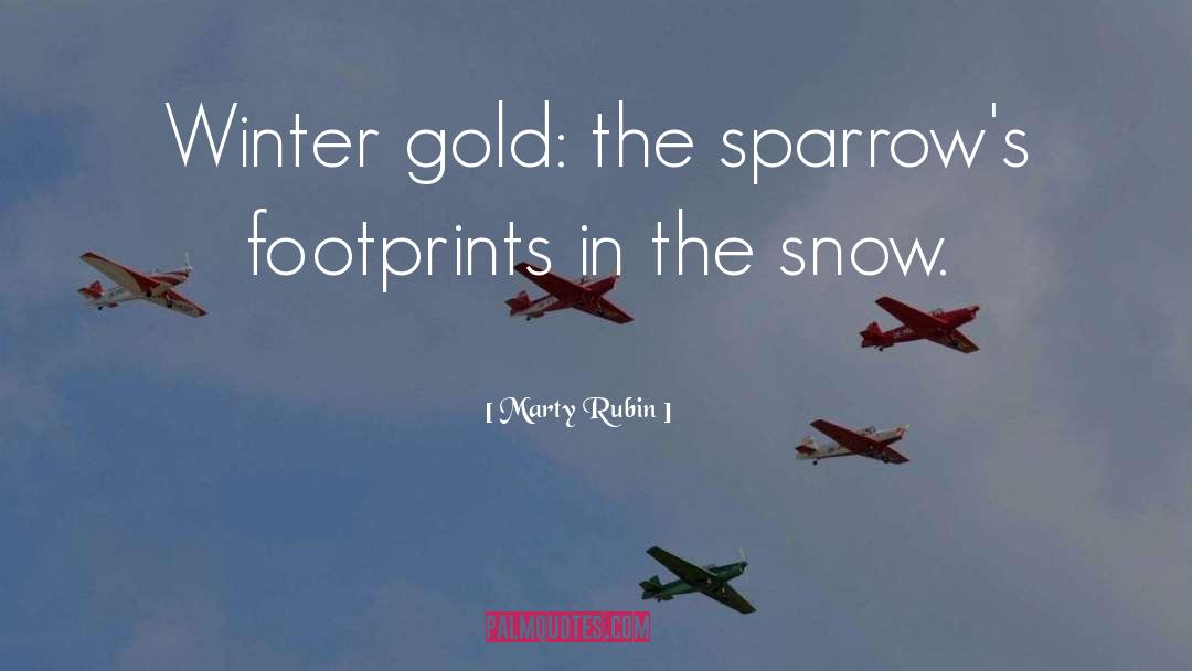 Sparrows quotes by Marty Rubin