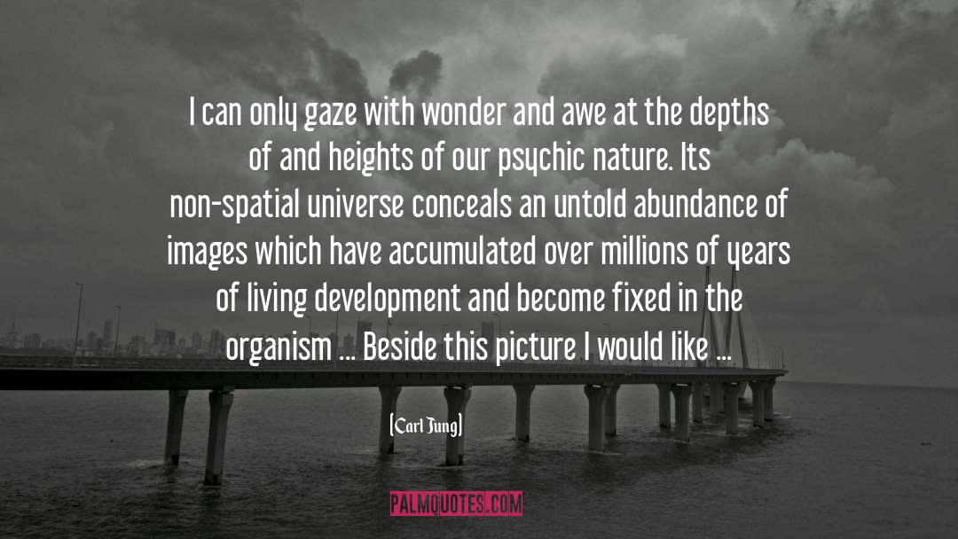 Spatial quotes by Carl Jung