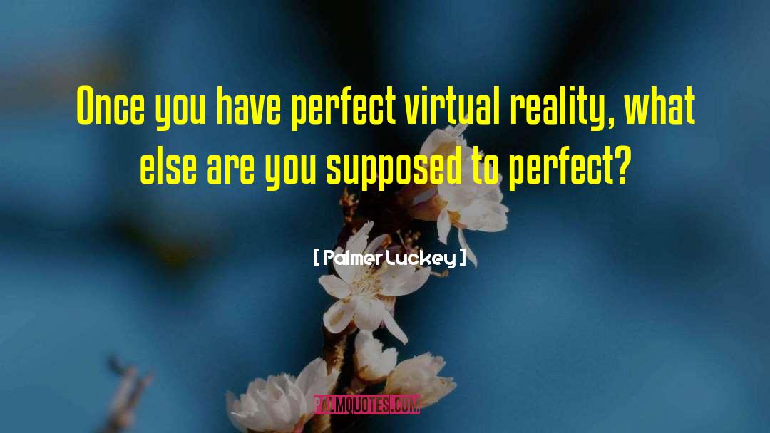 Spatiu Virtual Privat quotes by Palmer Luckey