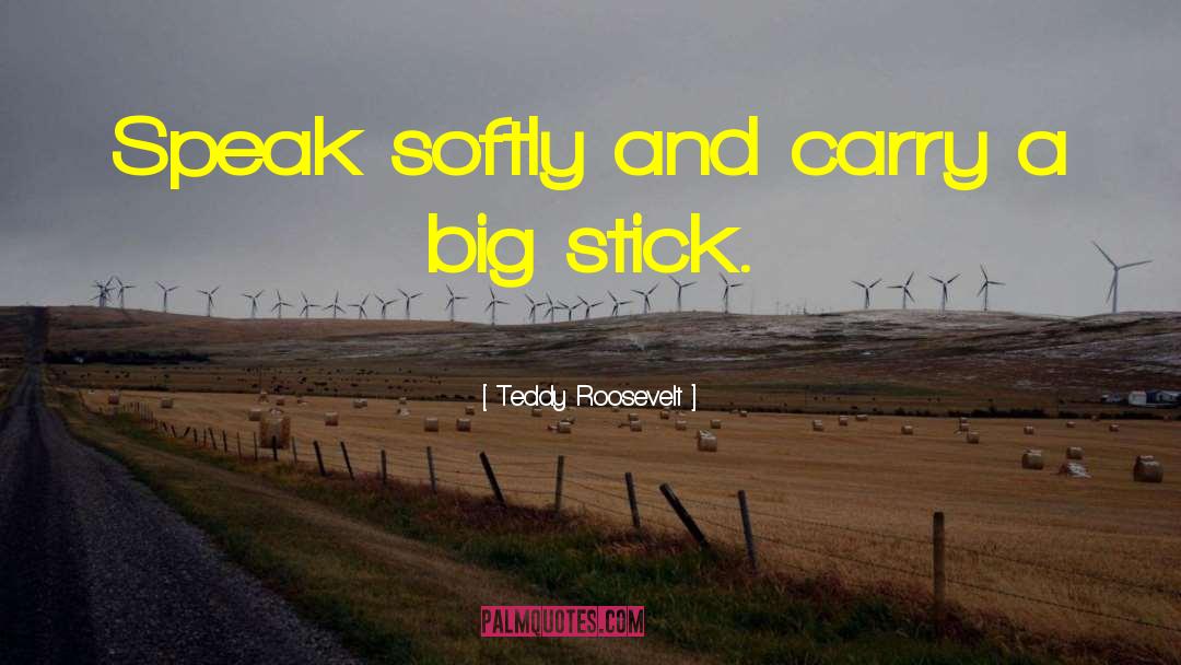 Speak Softly quotes by Teddy Roosevelt