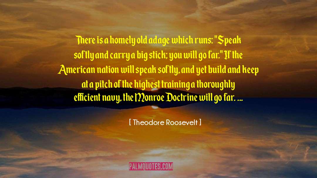 Speak Softly quotes by Theodore Roosevelt