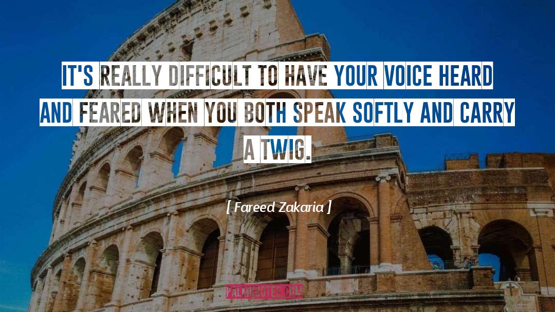 Speak Softly quotes by Fareed Zakaria