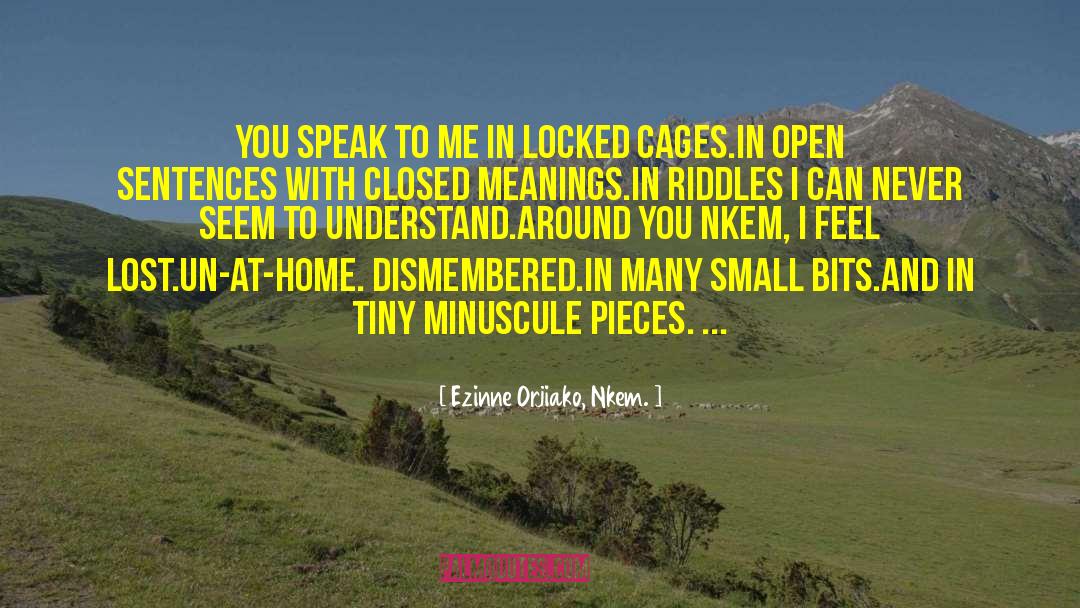 Speak With Confidence quotes by Ezinne Orjiako, Nkem.
