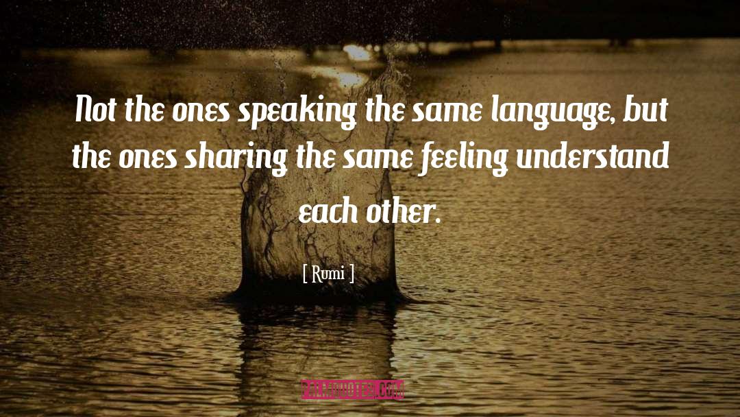 Speaking The Same Language quotes by Rumi