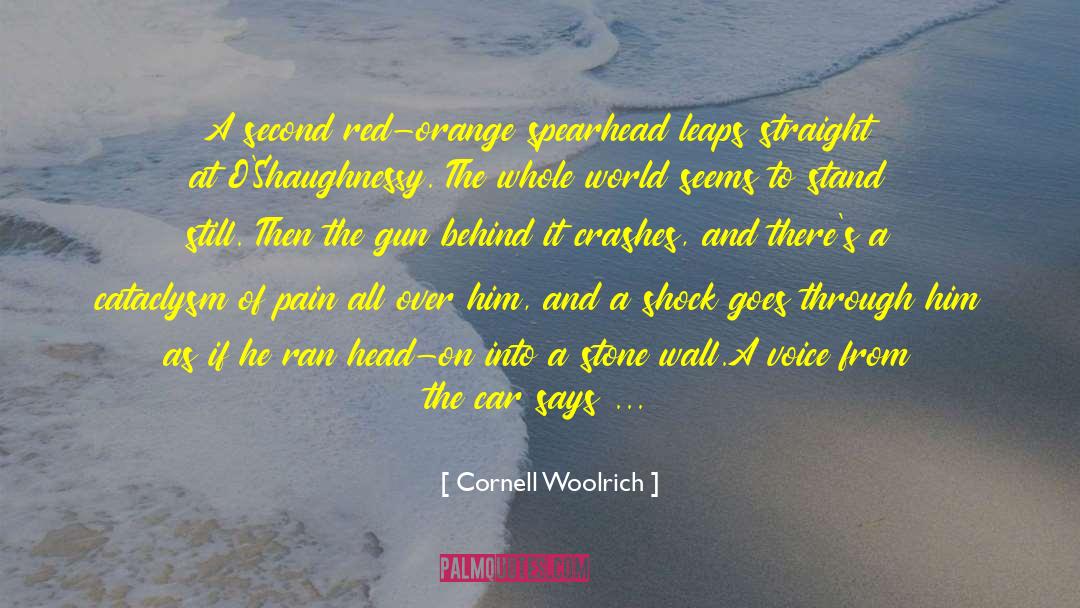Spearhead quotes by Cornell Woolrich