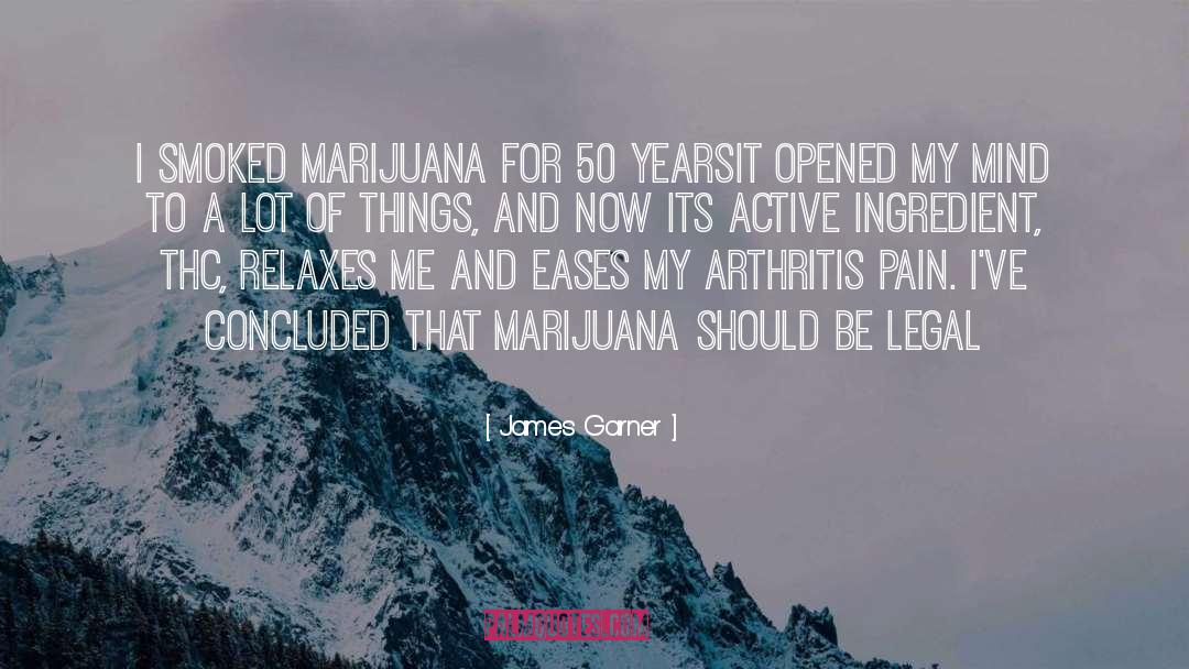 Specia Ingredient quotes by James Garner