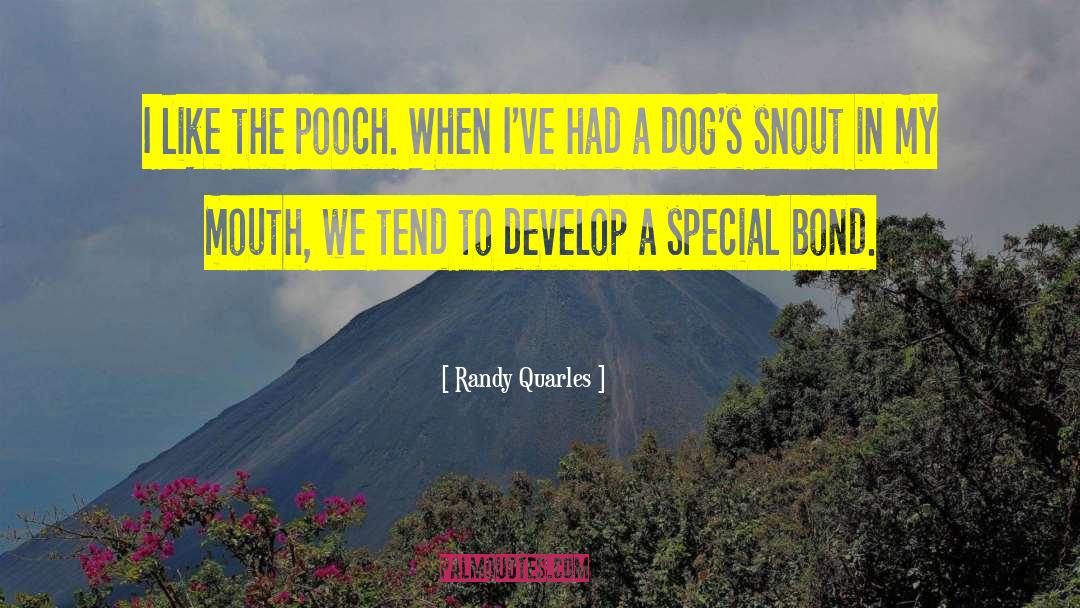 Special Bond quotes by Randy Quarles