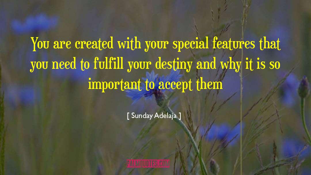 Special Features quotes by Sunday Adelaja