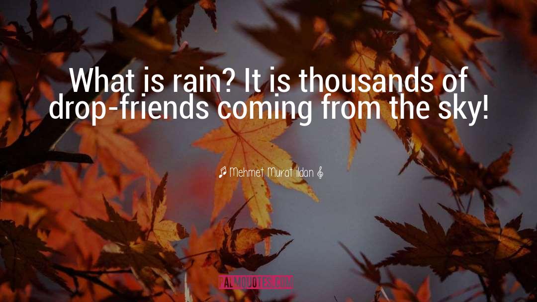 Special Friends quotes by Mehmet Murat Ildan