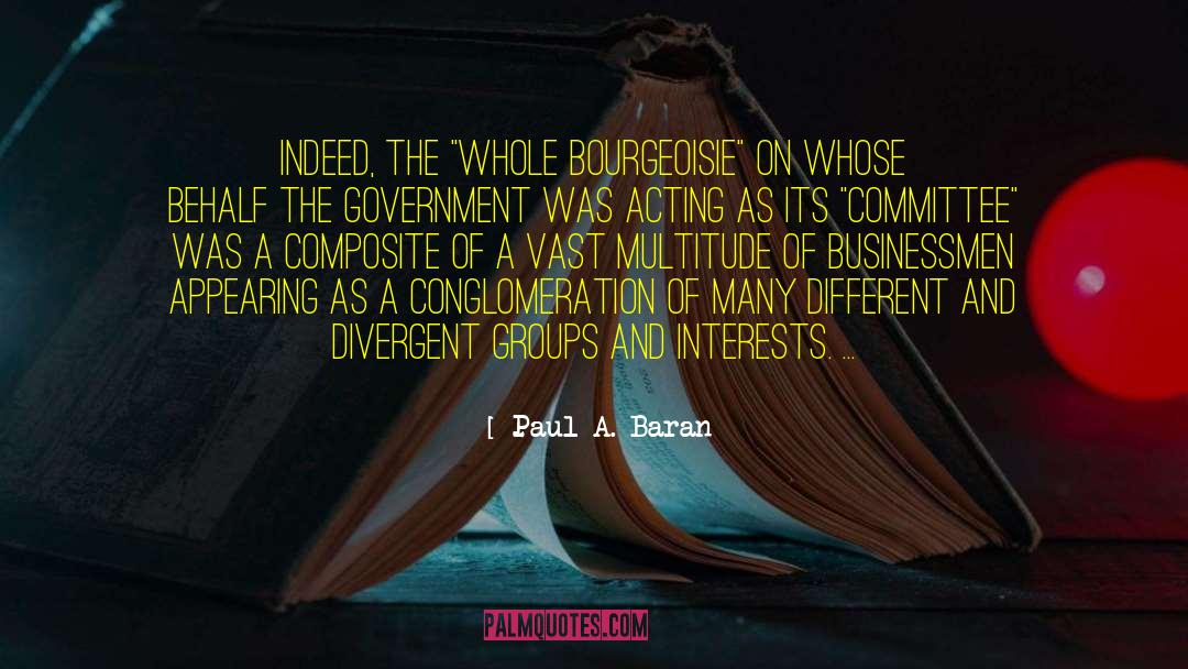 Special Interest Groups quotes by Paul A. Baran