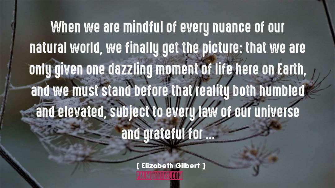Special Moment quotes by Elizabeth Gilbert