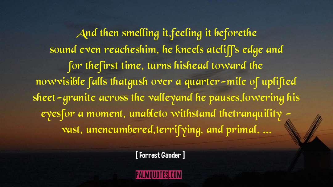 Special Moment quotes by Forrest Gander
