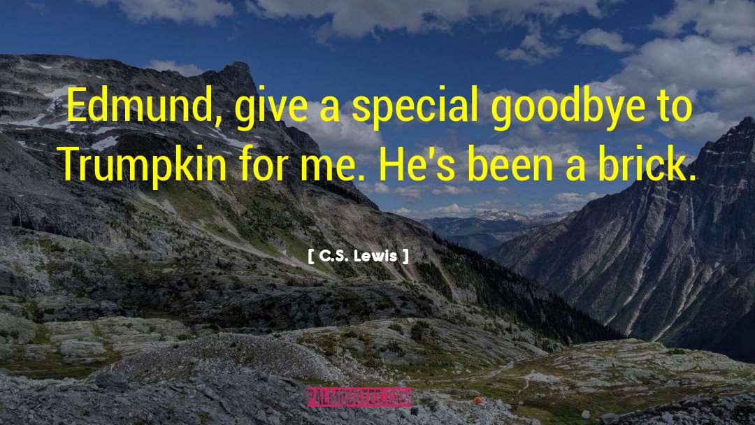 Special One quotes by C.S. Lewis