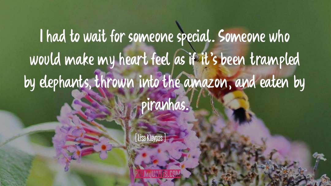 Special Someone quotes by Lisa Kleypas