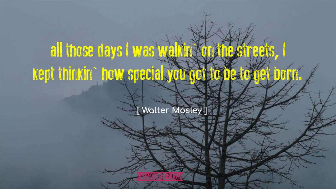 Special You quotes by Walter Mosley