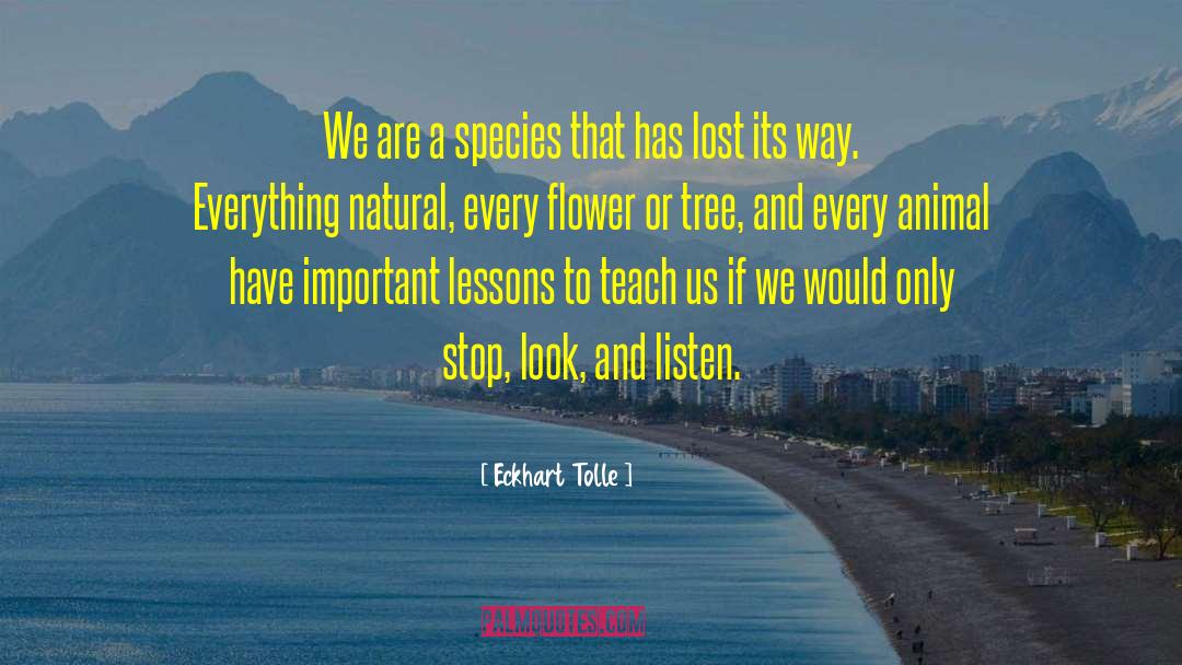 Species Proliferation quotes by Eckhart Tolle
