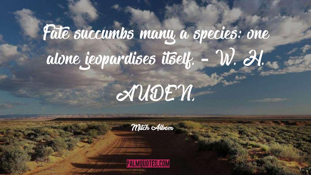 Species quotes by Mitch Albom