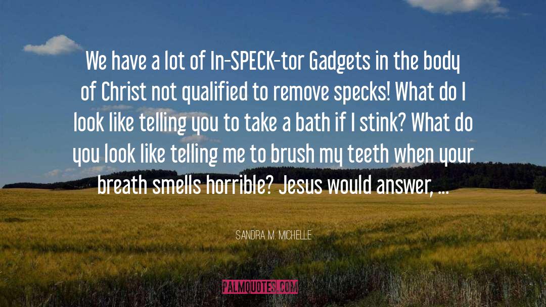Speck quotes by Sandra M. Michelle