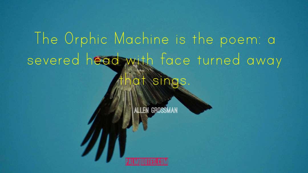 Spectacular Face quotes by Allen Grossman