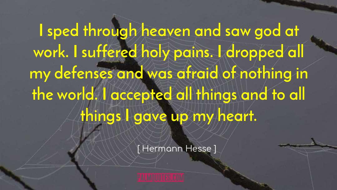 Sped quotes by Hermann Hesse