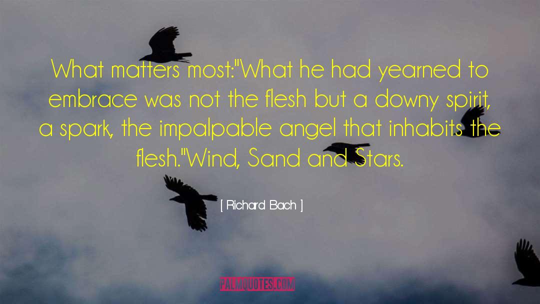 Speechley Sand quotes by Richard Bach