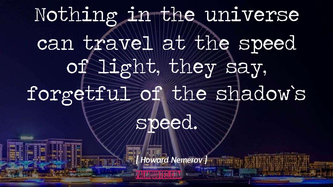 Speed Of Light quotes by Howard Nemerov