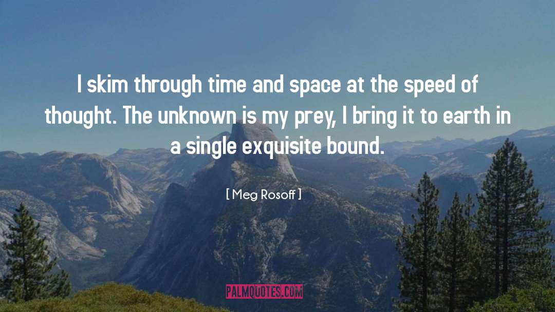 Speed Of Thought quotes by Meg Rosoff