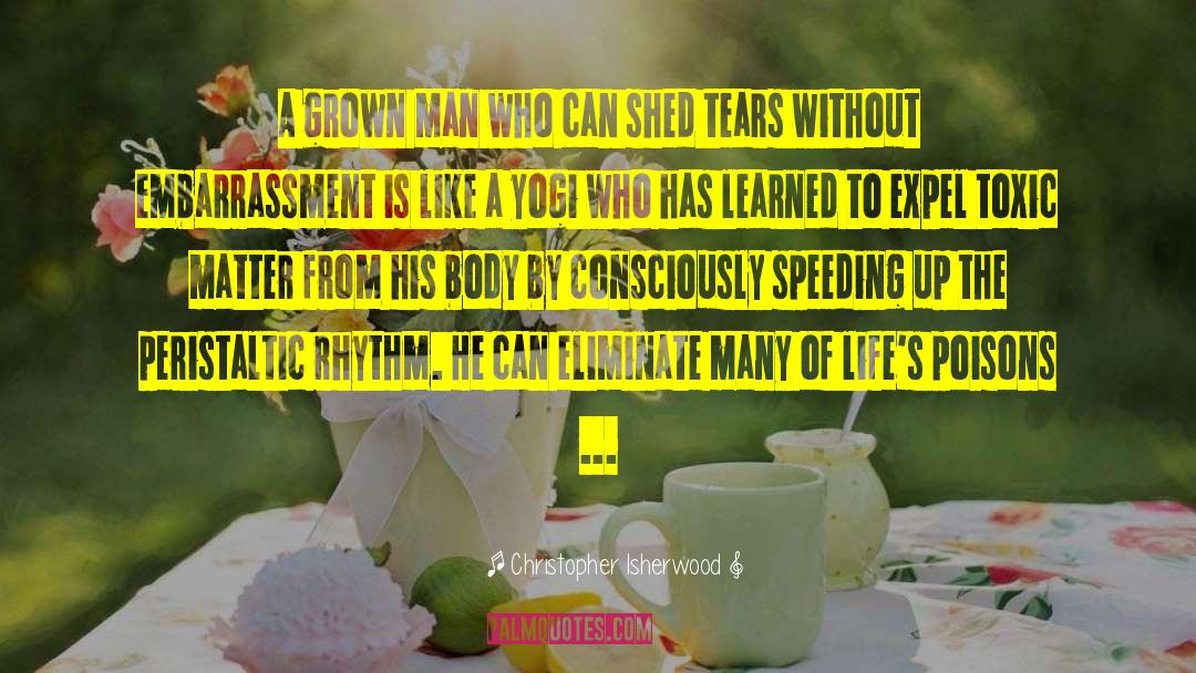 Speeding quotes by Christopher Isherwood