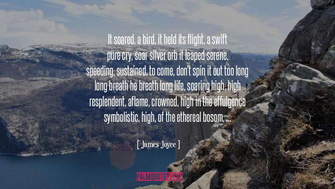 Speeding quotes by James Joyce