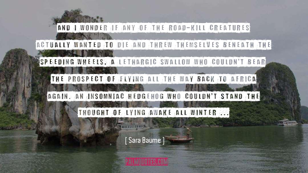Speeding quotes by Sara Baume
