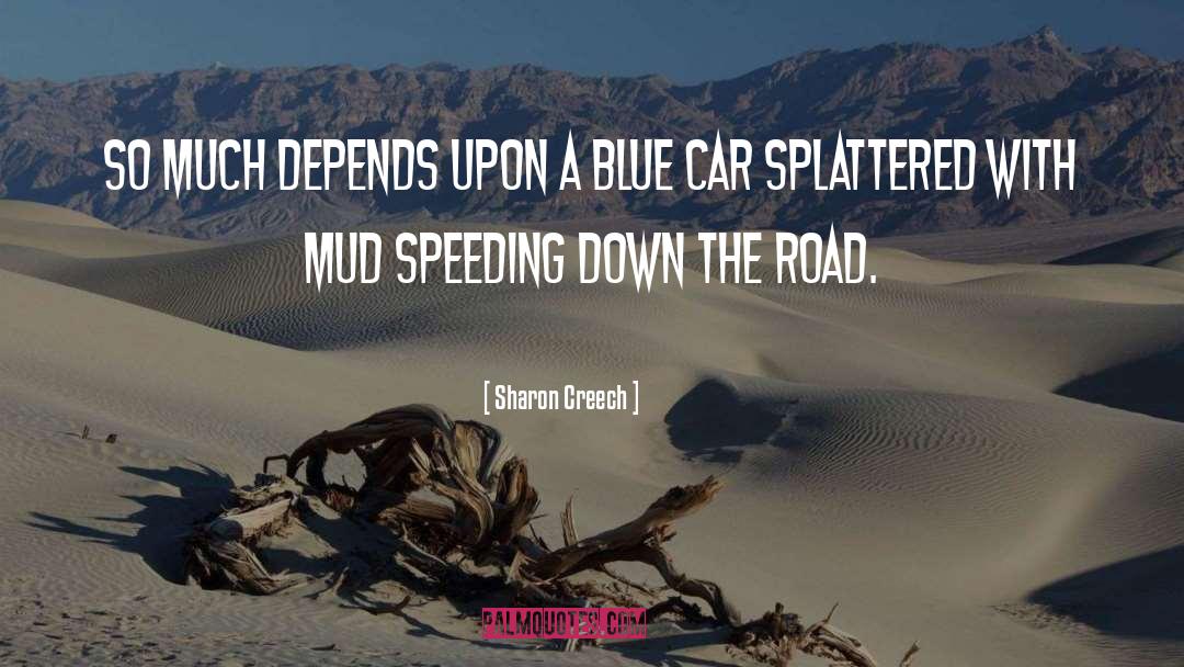 Speeding quotes by Sharon Creech