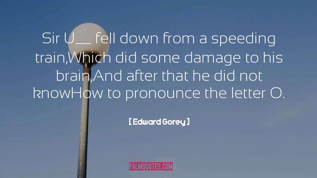 Speeding Up quotes by Edward Gorey