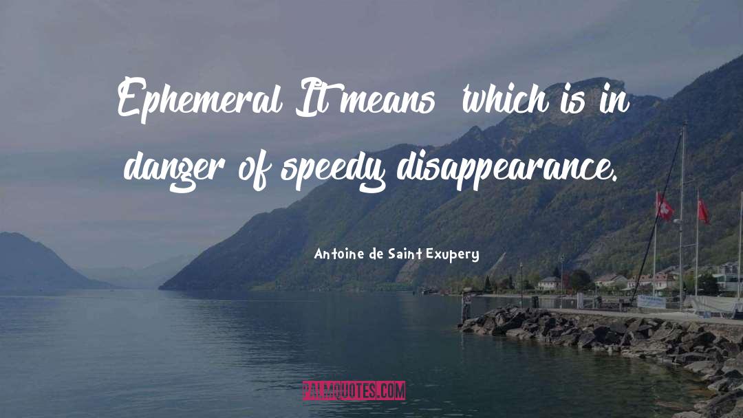 Speedy quotes by Antoine De Saint Exupery
