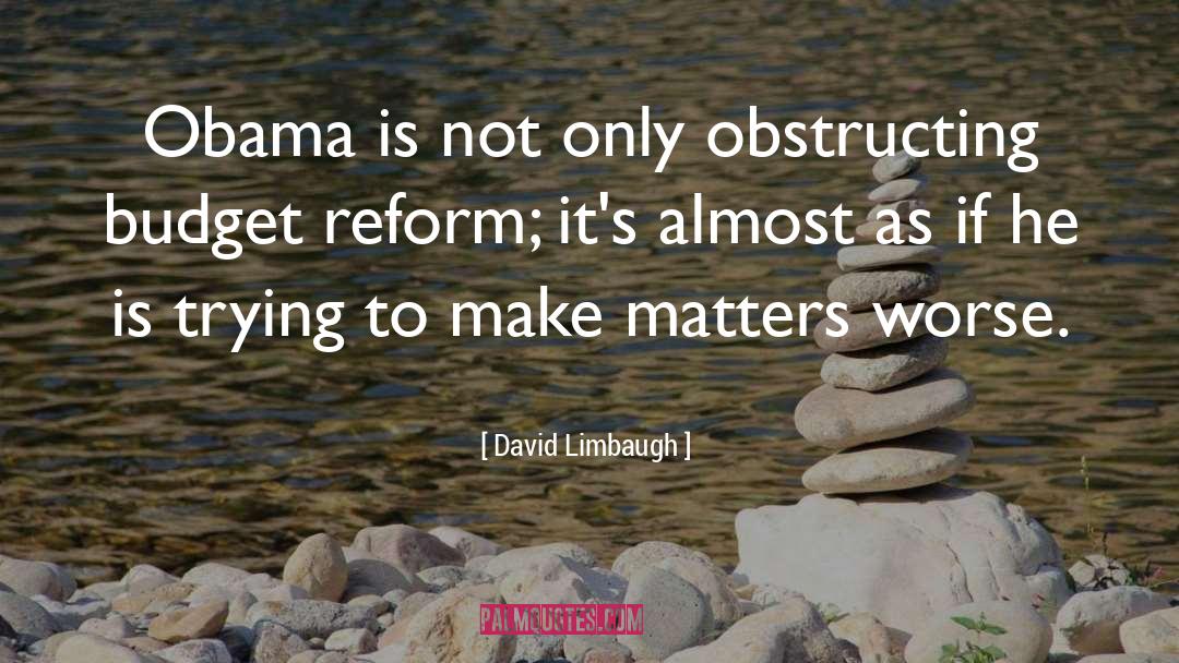 Spelling Reform quotes by David Limbaugh