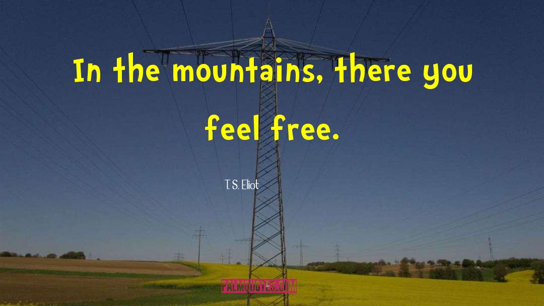 Spencer S Mountain quotes by T. S. Eliot