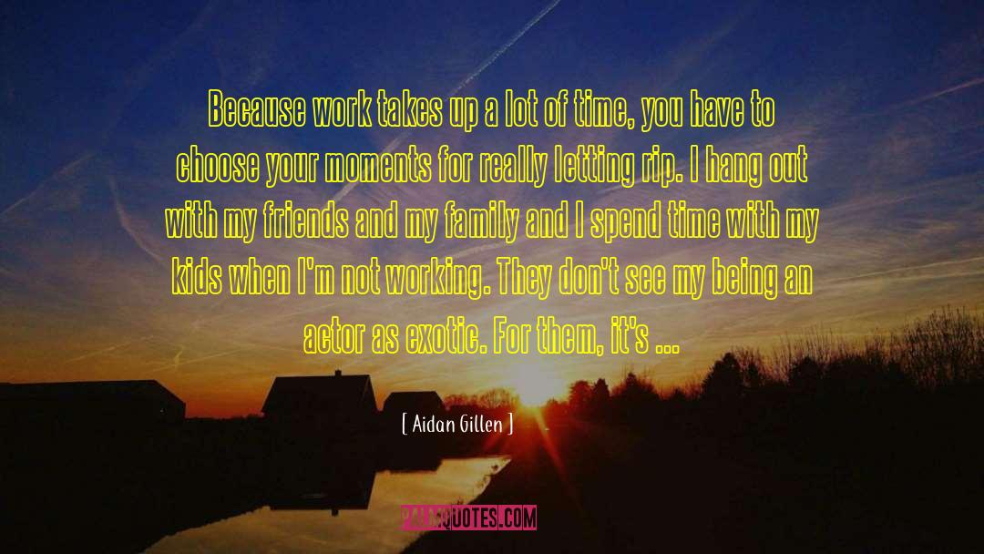 Spend Your Time With Your Family quotes by Aidan Gillen