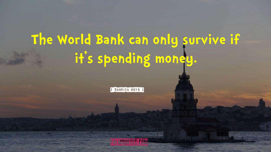 Spending Money quotes by Dambisa Moyo