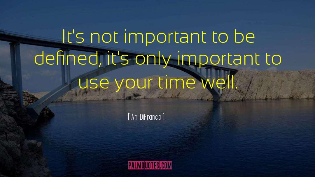 Spending Your Time quotes by Ani DiFranco