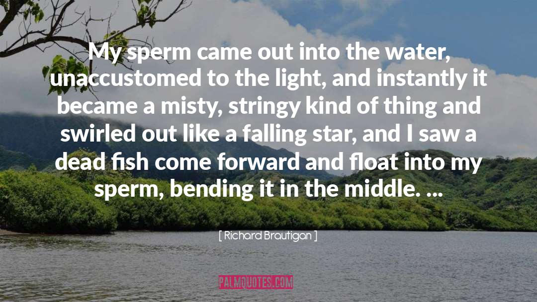 Sperm quotes by Richard Brautigan