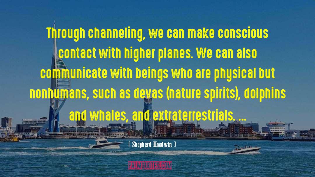 Sperm Whales quotes by Shepherd Hoodwin