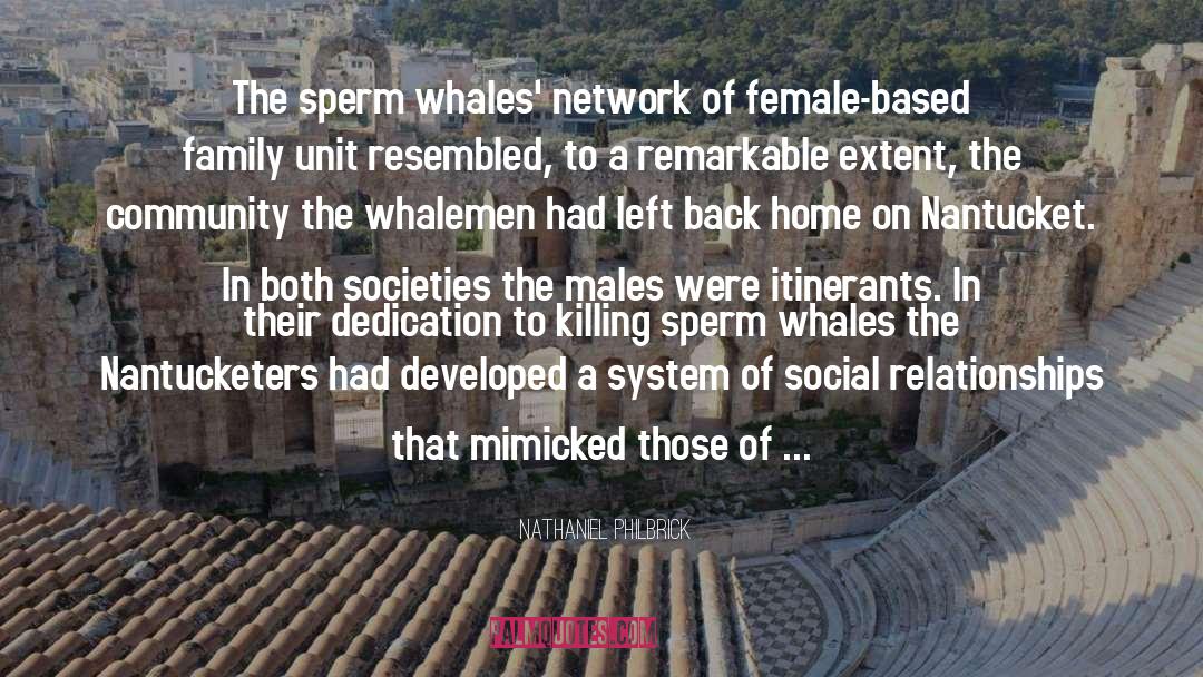 Sperm Whales quotes by Nathaniel Philbrick