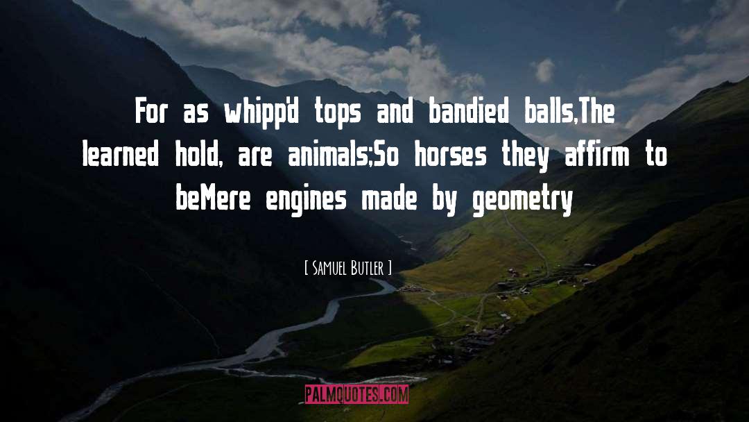 Spherical Cow quotes by Samuel Butler