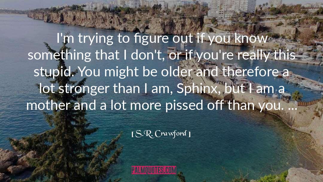 Sphinx quotes by S.R. Crawford