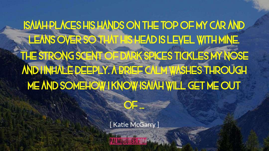 Spices quotes by Katie McGarry