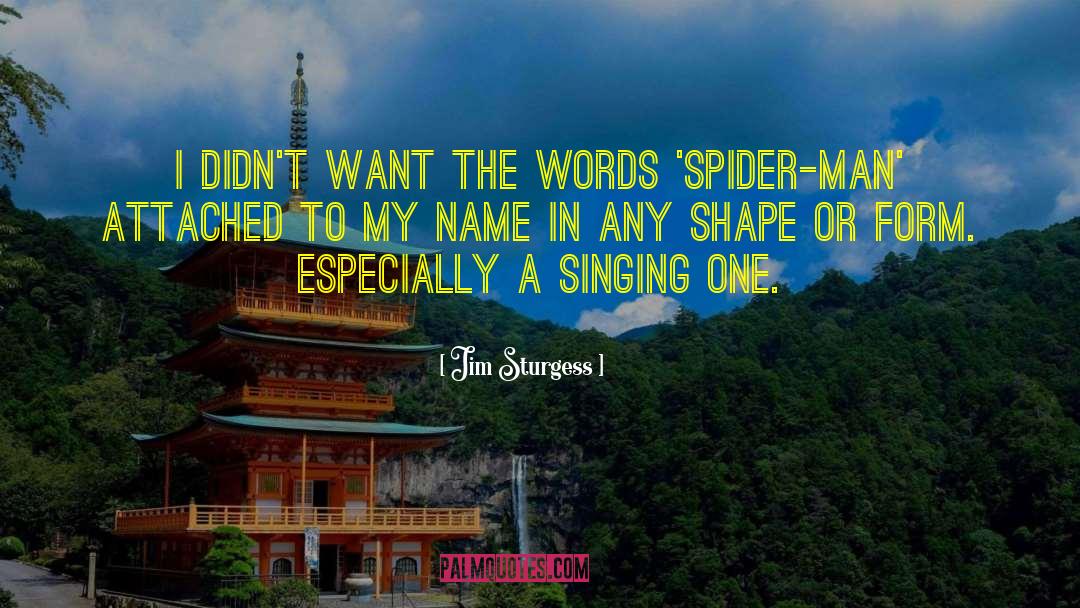 Spider Man quotes by Jim Sturgess