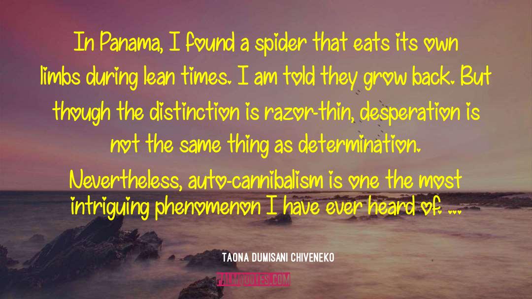 Spider Not Found quotes by Taona Dumisani Chiveneko